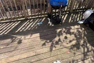 1613 S Central Park Ave, Chicago, IL 60623 - Photo 35