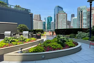 420 E Waterside Dr, Chicago, IL 60601 - Photo 33