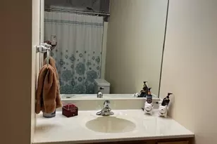 1301 S Finley Rd, Lombard, IL 60148 - Photo 17