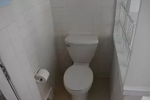 501 S Main St, Flanagan, IL 61740 - Photo 27