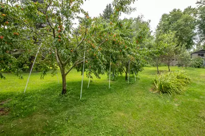 15717 S River Road, Plainfield, IL 60544 - Photo 21