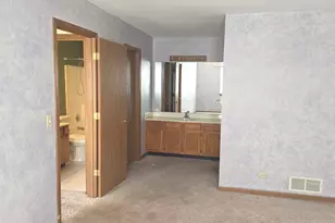 427 Village Creek Dr, Lake in the Hills, IL 60156 - Photo 9