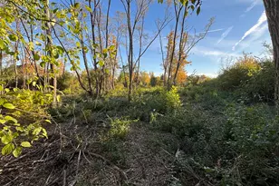 21647 Owens Rd, Mokena, IL 60448 - Photo 1