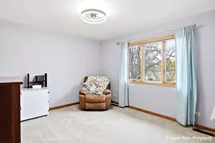 973 Duvall Dr, Woodstock, IL 60098 - Photo 17