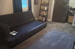 206 N Lennox St, Braceville, IL 60407 - Photo 33