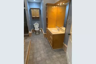 206 N Lennox Street, Braceville, IL 60407 - Photo 13