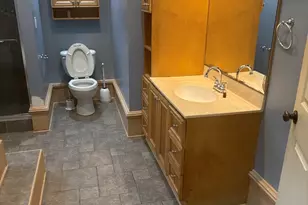 206 N Lennox St, Braceville, IL 60407 - Photo 13