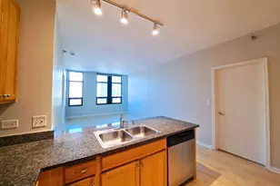 1255 S State St, Chicago, IL 60605 - Photo 9