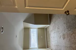 8225 S Manistee Ave, Chicago, IL 60617 - Photo 29