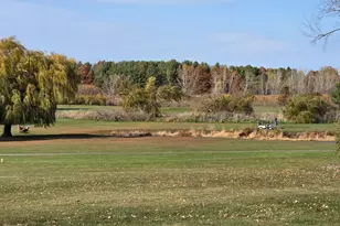 280 Sunset Blvd, Beecher, IL 60401 - Photo 37