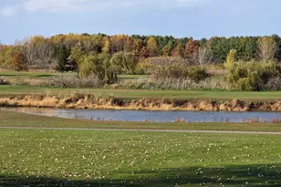 280 Sunset Blvd, Beecher, IL 60401 - Photo 33