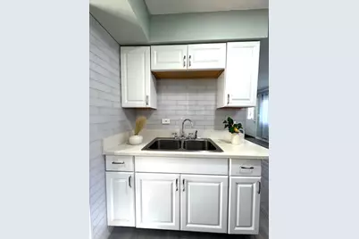 1582 Pennsylvania Avenue, Des Plaines, IL 60018 - Photo 9