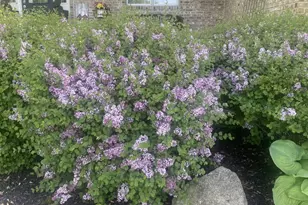 3819 Prairie Dr, Spring Grove, IL 60081 - Photo 43