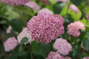 3819 Prairie Dr, Spring Grove, IL 60081 - Photo 41