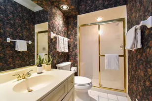 3 Bridle Ct, Burr Ridge, IL 60527 - Photo 33