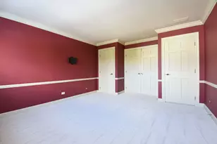 3 Bridle Ct, Burr Ridge, IL 60527 - Photo 29