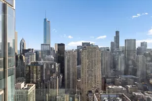 14 W Superior St, Chicago, IL 60654 - Photo 21