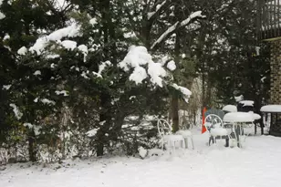 740 N Junior Terrace, Elmhurst, IL 60126 - Photo 25