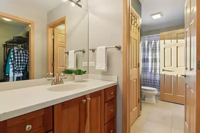 39716 Orchard Bluff Lane, Wadsworth, IL 60083 - Photo 53