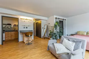 1150 N Lake Shore Dr, Chicago, IL 60611 - Photo 5