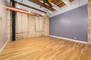 312 N May St, Chicago, IL 60607 - Photo 17
