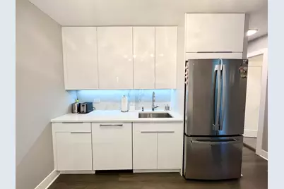 1455 N Sandburg Terrace #1504B, Chicago, IL 60610 - Photo 3