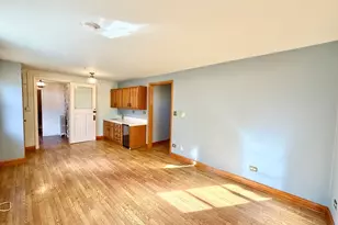 841 Douglas Ave, Elgin, IL 60120 - Photo 35