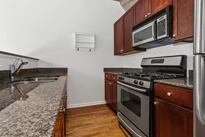 1000 W 15th Street #234, Chicago, IL 60608 - Photo 3