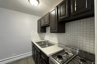4537 N Dover St, Chicago, IL 60640 - Photo 9