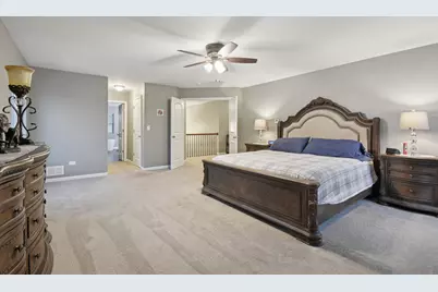 26340 S Settlers Drive, Channahon, IL 60410 - Photo 25