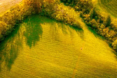 [Address not provided], Savanna, IL 61074 - Photo 7