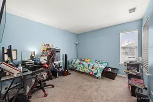 1431 Essex St, Algonquin, IL 60102 - Photo 19