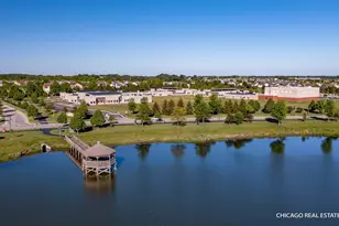 410 Brookhaven Trail, Pingree Grove, IL 60140 - Photo 33