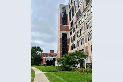 320 Elmwood Drive, Naperville, IL 60540 - Photo 31