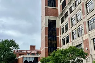 320 Elmwood Dr, Naperville, IL 60540 - Photo 31