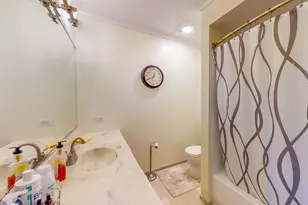 1065 N Jamey Ln, Addison, IL 60101 - Photo 21