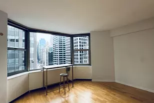 535 N Michigan Ave, Chicago, IL 60611 - Photo 5