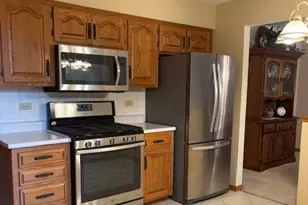 10831 Mississippi Ct, Orland Park, IL 60467 - Photo 9