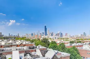 833 W 15th Pl, Chicago, IL 60608 - Photo 25