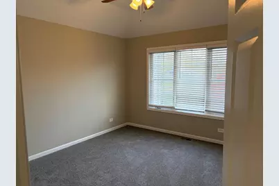 4 Alleghany Court, Bolingbrook, IL 60440 - Photo 21