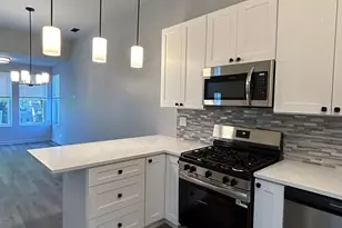 15 S Albany Ave, Chicago, IL 60612 - Photo 11