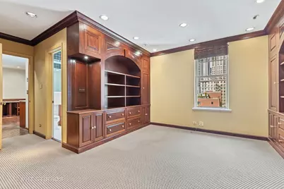220 E Walton Place #9W, Chicago, IL 60611 - Photo 17