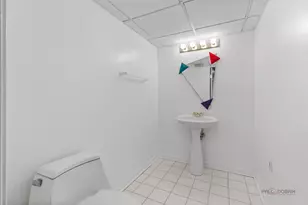 2888 Whispering Oaks Ct, Buffalo Grove, IL 60089 - Photo 29