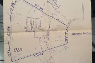 2888 Whispering Oaks Ct, Buffalo Grove, IL 60089 - Photo 39