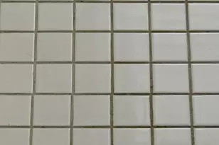 307 N Prairie St, Champaign, IL 61820 - Photo 19