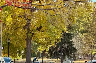 307 N Prairie St, Champaign, IL 61820 - Photo 41