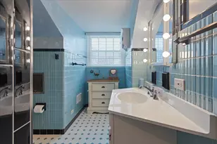 173 Cornell Ave, Des Plaines, IL 60016 - Photo 19