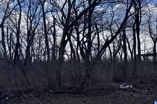 1859 Erin Ln, Morris, IL 60450 - Photo 1