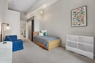 910 S Michigan Ave, Chicago, IL 60605 - Photo 13