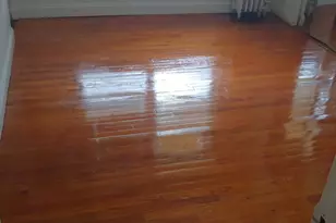 307 E 50th St, Chicago, IL 60615 - Photo 3